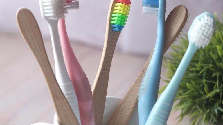 cepillos dentales puestos en una taza